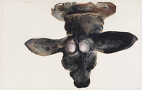 KT 1997 078
<br/>
Zonder titel (Hertenkop van boven gezien)
<br/>
<em>Wit, Hans de (1952)</em>